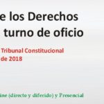 La tutela judicial de los Derechos Fundamentales y el turno de oficio