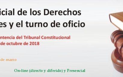 La tutela judicial de los Derechos Fundamentales y el turno de oficio