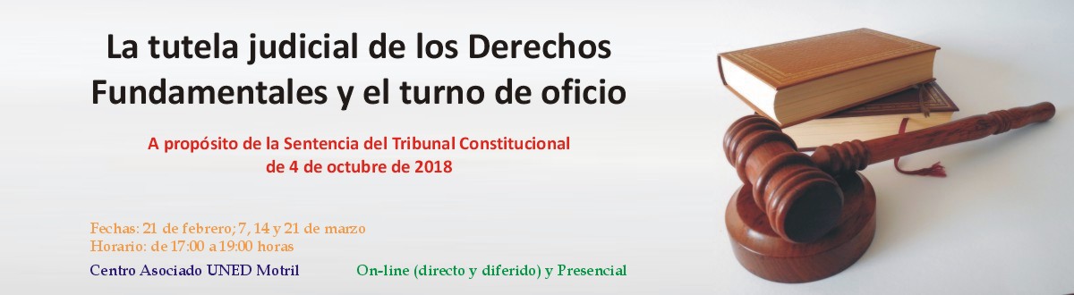 La tutela judicial de los Derechos Fundamentales y el turno de oficio